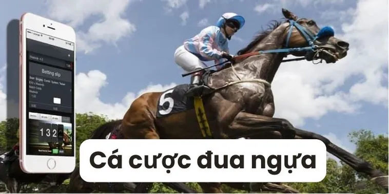 Kinh Nghiệm Bất Bại Khi Tìm Hiểu Cá Cược Đua Ngựa DP568 Kịch Tính 2 Kinh Nghiệm Bất Bại Khi Tìm Hiểu Cá Cược Đua Ngựa DP568 Kịch Tính